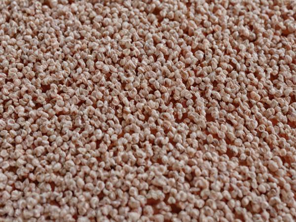 Delicate fabric stain removal and care